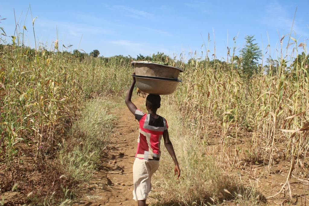 La rivoluzione delle lingue in Africa: l’AI e l’identità nazionale del Burkina&nbsp;Faso